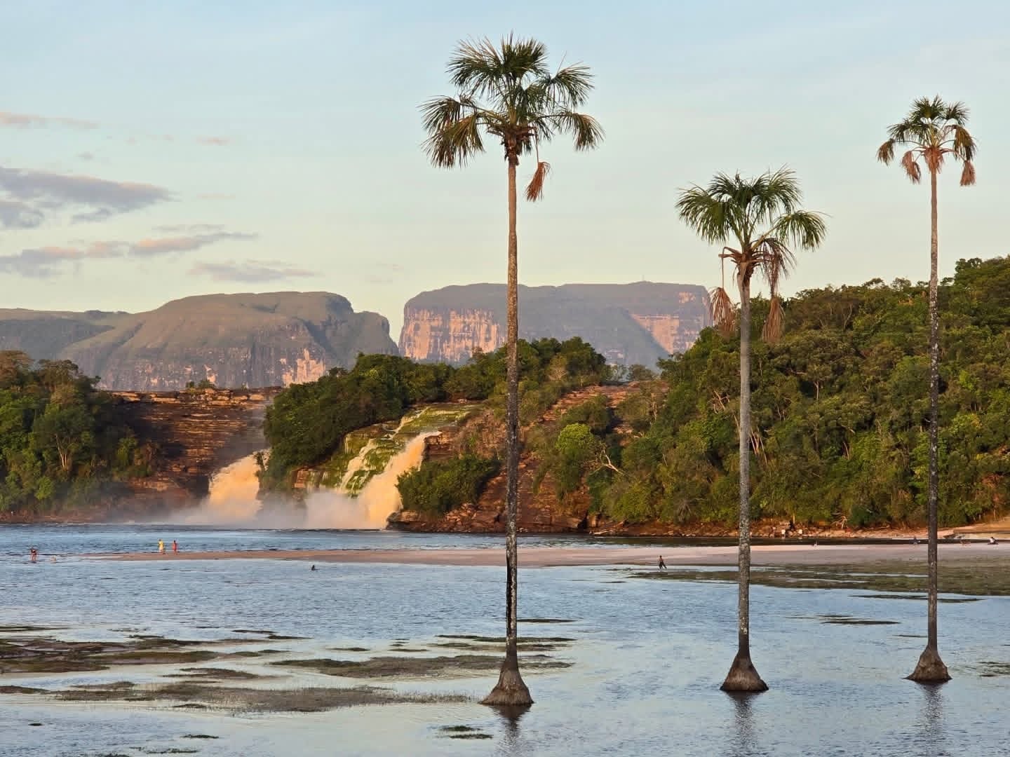 Cascadas, tepuyes y palmeras del Parque Nacional Canaima en la Amazonía venezolana, paisaje ancestral de los pueblos indígenas del sur