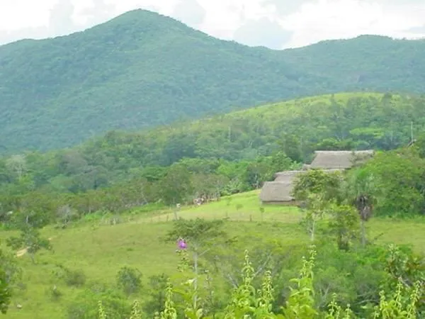 Paisaje de montaña cubierta de vegetación con viviendas tradicionales en un claro