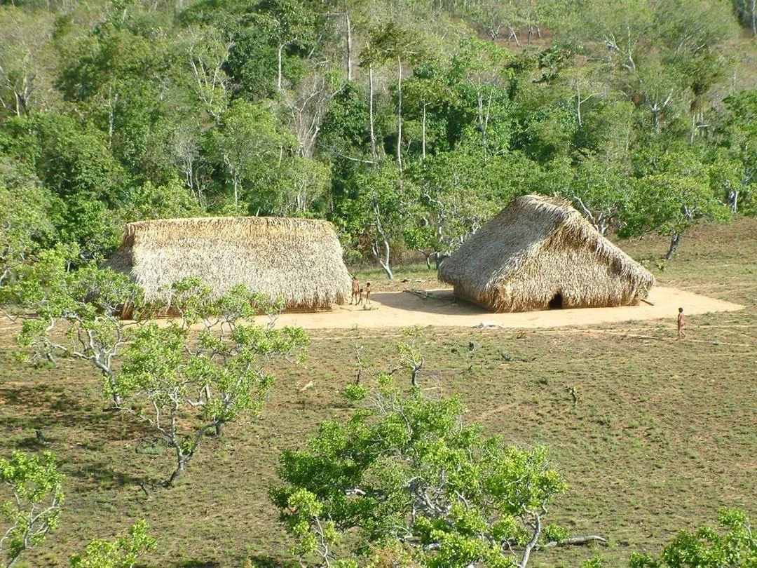Viviendas tradicionales de techo de palma en un claro rodeado de bosque